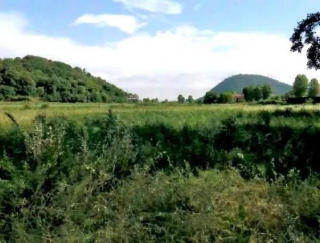 Immobile in asta di 18225 m² in vendita a Teolo - Foto 5