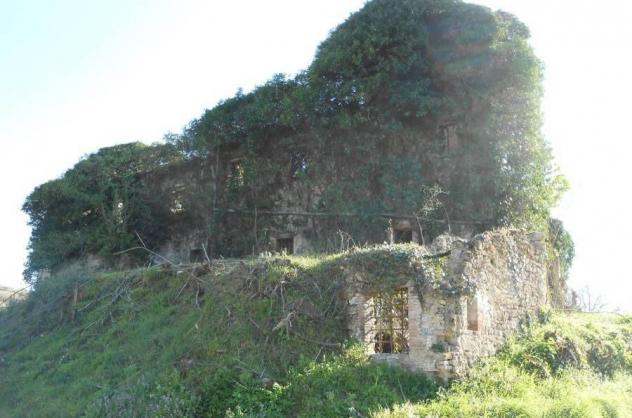 Colonica in vendita a Asciano 1352 mq Rif: 751134 - Foto 4