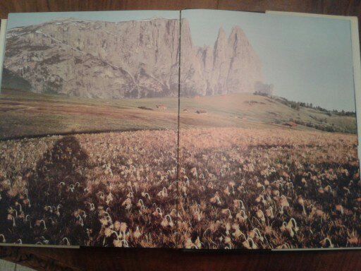 ALLA SCOPERTA DEL PIANETA TERRA - Foto 4