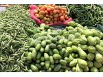 Negozio di alimentari, frutta e verdura, e integratori in vendita a Lecco