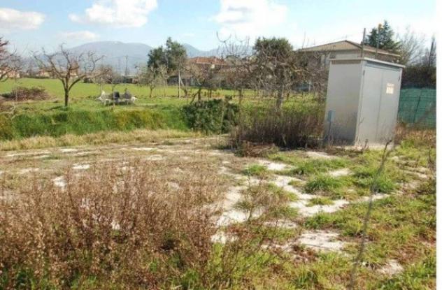 Immobile in asta di 6635 m² in vendita a Cannara - Foto 2