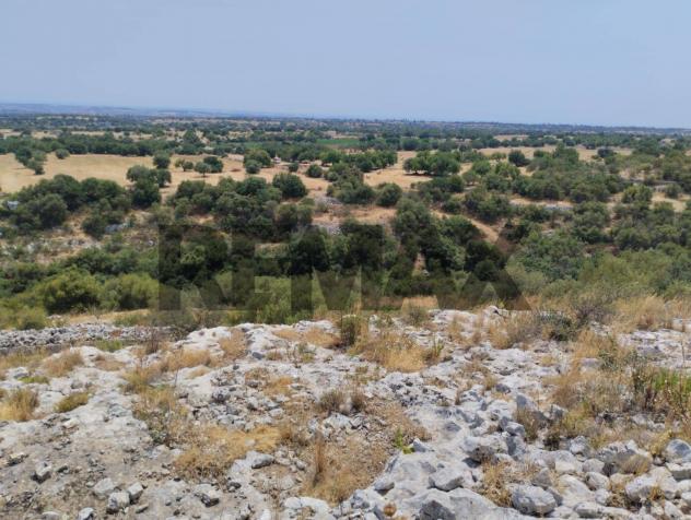 Terreno Edificabile in vendita a Rosolini