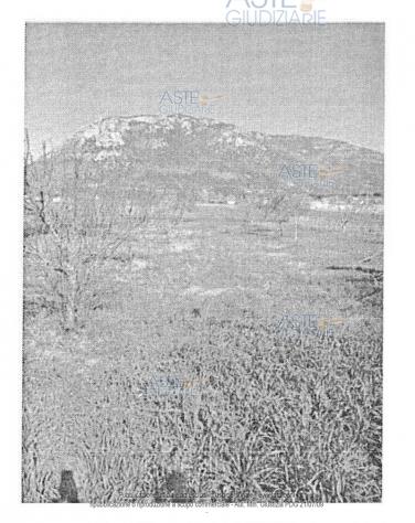 IMMOBILI-ALTRA CATEGORIA-località cannete - Foto 2