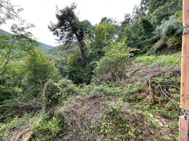 Casa singola in vendita a Ruota - Capannori 100 mq Rif: 1355656 - Foto 8