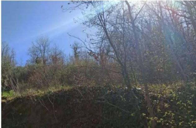 Immobile in asta di 186 m² con più di 5 locali e box auto in vendita a Villamagna - Foto 4