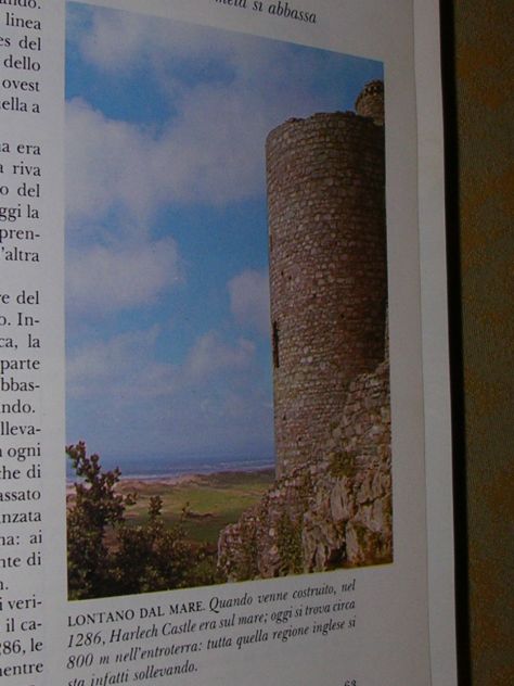 NEL MONDO DELL'INCREDIBILE - Foto 6