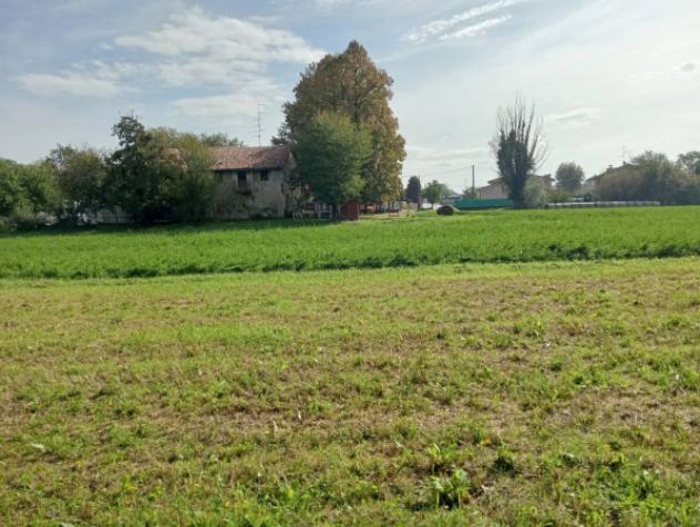 Immobile in asta di 37388 m² in vendita a Novellara - Foto 3