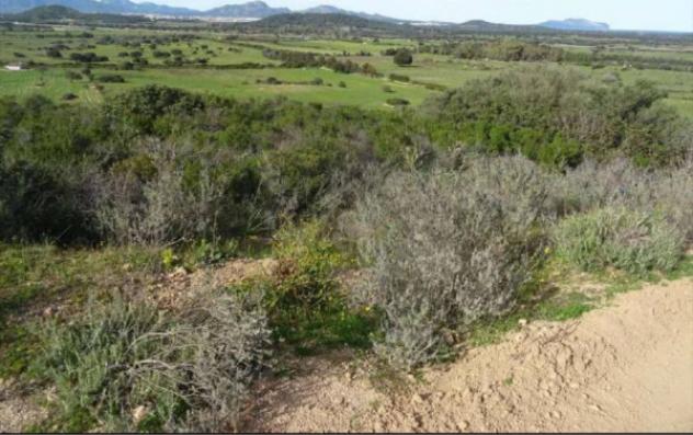 Immobile in asta di 2270 m² in vendita a Olbia - Foto 5