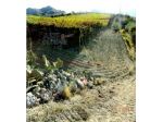 IMMOBILI-ALTRA CATEGORIA-93016 Riesi CL, Italia