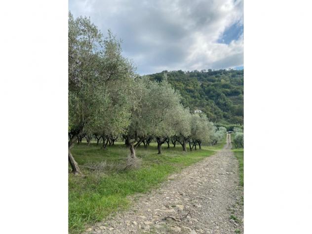 Agricolo in Via Frascinelle - Foto 16