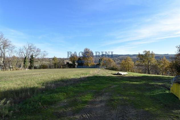 FONDO AGRICOLO CA' DEI FRATI - BRISIGHELLA - Foto 18