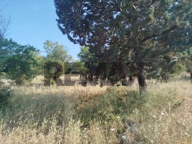 Terreno in vendita a Canicattini Bagni - Foto 11