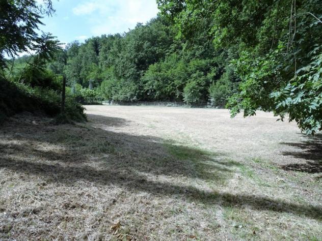 Terreno agricolo in vendita a Poggibonsi 25000 mq Rif: 1292617 - Foto 6