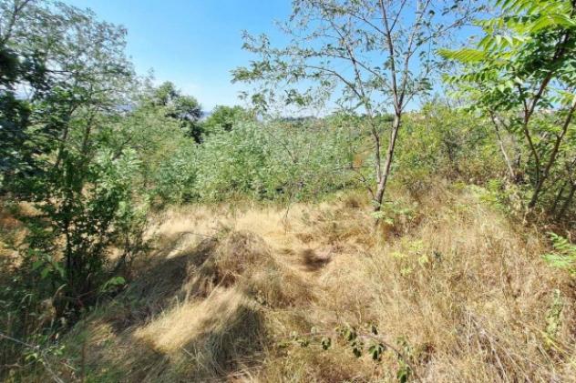 Immobile in asta di 5280 m² in vendita a Recanati - Foto 10