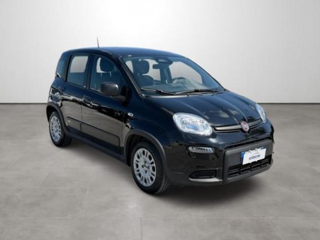 FIAT Panda 1.0 FireFly S&S Hybrid rif. 23891750 - Foto 3