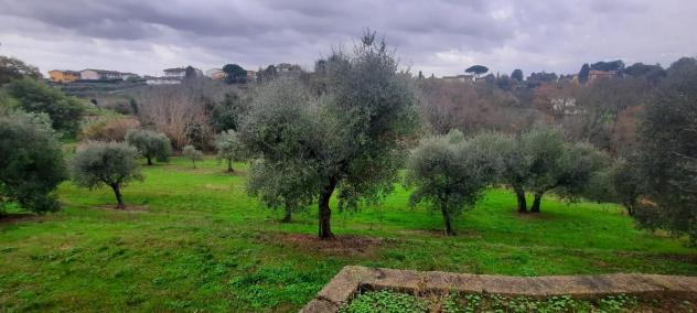 Casa singola in vendita a Santa Maria a Monte 270 mq Rif: 1230284 - Foto 6