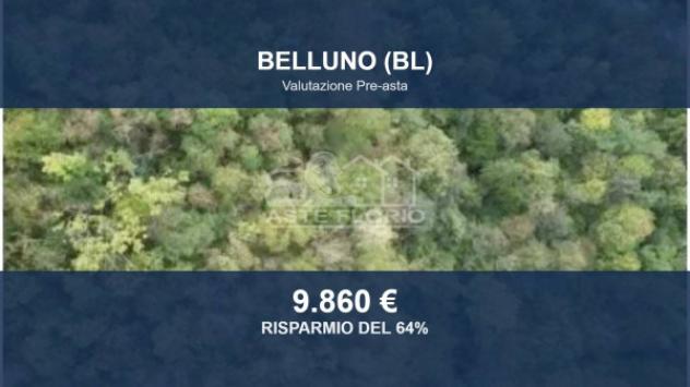 Immobile in asta di 24020 m² in vendita a Belluno