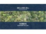Immobile in asta di 24020 m² in vendita a Belluno