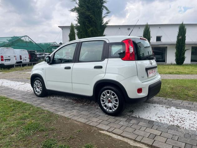 FIAT Panda 1.0 FireFly 70cv S&S Hybrid - Foto 2