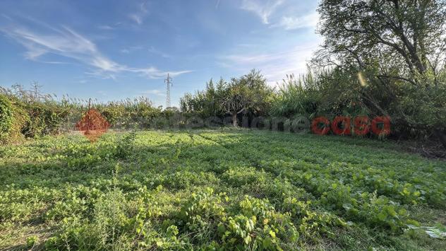 Casa Indipendente - Pontinia . Rif.: Cod. rif 3389192VRG - Foto 11
