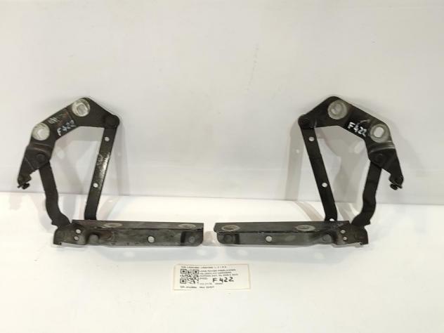 CERNIERE COFANO ANTERIORE DX E SX LAND ROVER Freelander 3° Serie LR001562 LR001562 224DT (0611)