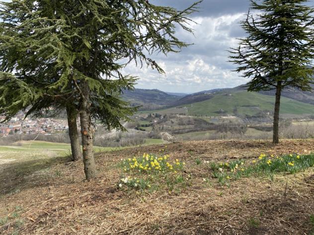 Casale in vendita a Alta Val Tidone - Foto 5