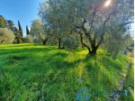 Terreno edif. residenziale in vendita a Lamporecchio 2500 mq  Rif: 1361035