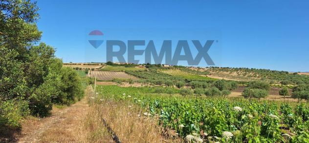 Terreno in vendita a Noto - Foto 3