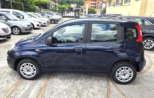 Fiat Panda 1.2 SOLO 34000 KM 5 POSTI GARANZIA - Foto 3