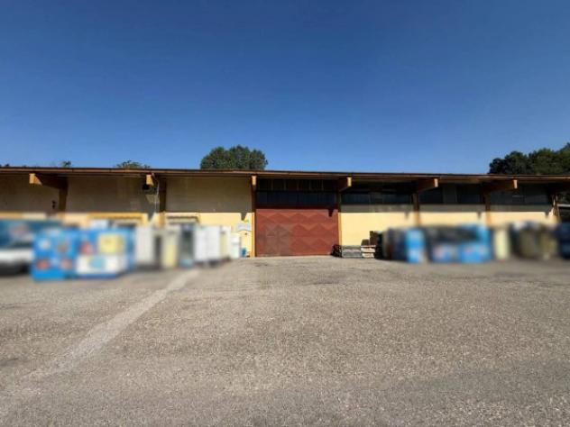 Immobile in asta di 35378 m² in vendita a Castelverde - Foto 11