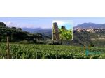 Perinaldo  - ZONA ALPICELLA VENDESI CASA INDIPENDENTE CON GIARDINO PRIVATO