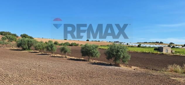 Terreno in vendita a Noto - Foto 17