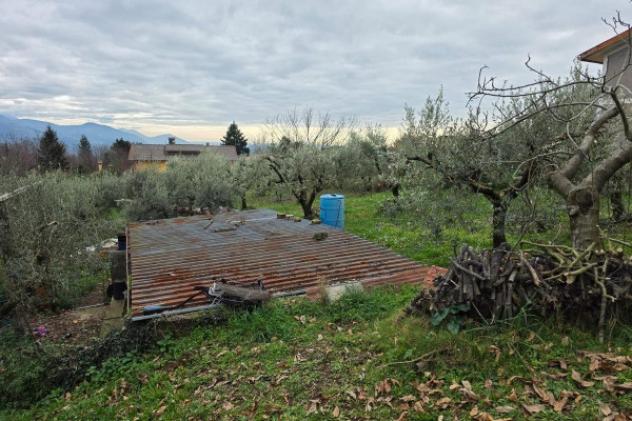 Terreno di 6110 m² in vendita a Velletri - Foto 3