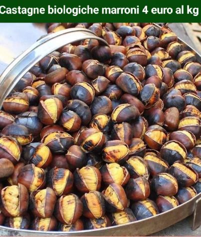 Castagne biologiche marroni 5 euro al kg - Foto 2
