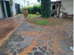 Terratetto in vendita a San Prospero Navacchio - Cascina 420 mq  Rif: 1137576
