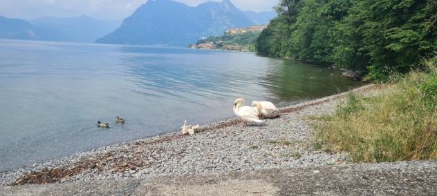 VILLA A SCHIERA di 5 vani e di 100 mq (MONTE ISOLA) rif. 78538 - Foto 11