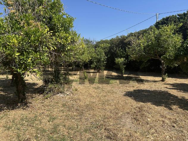 Terreno in vendita a Avola - Foto 6