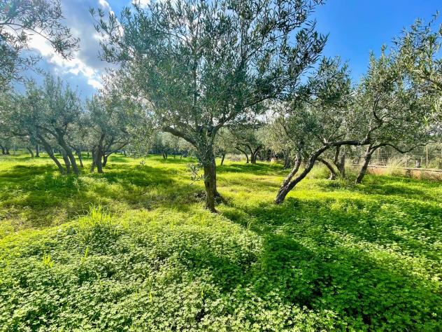 Villa in vendita a Castellammare del Golfo - Foto 18