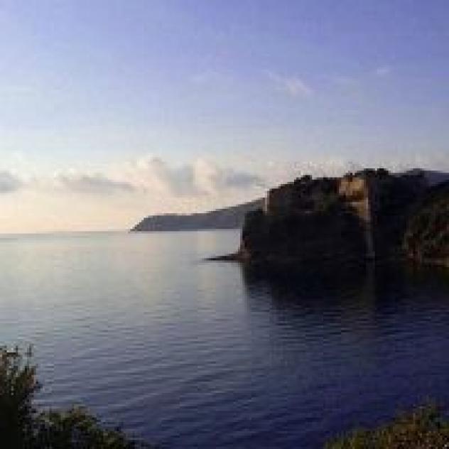 La Voce del Mare di Tori Giorgio & C. - S.n.c. - Foto 3