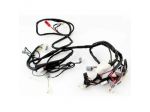 Impianto elettrico Piaggio Free Delivery  581773