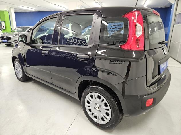 FIAT Pandina 1.0 firefly hybrid Icon s&s 65cv - Foto 4