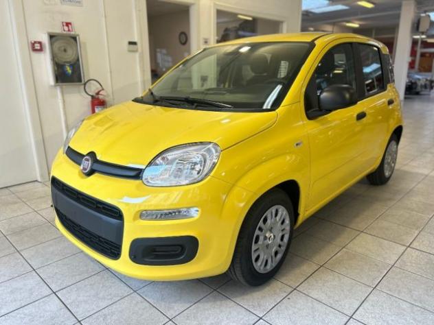 FIAT Panda 1.0 FireFly S&S Hybrid Icon rif. 23883712