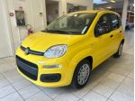 FIAT Panda 1.0 FireFly S&S Hybrid Icon rif. 23883712