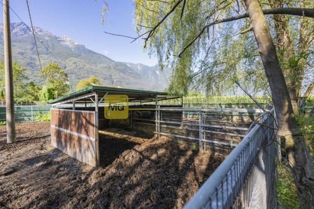Si propone tenuta adibita ad allevamento per trasferimento attività - Foto 6