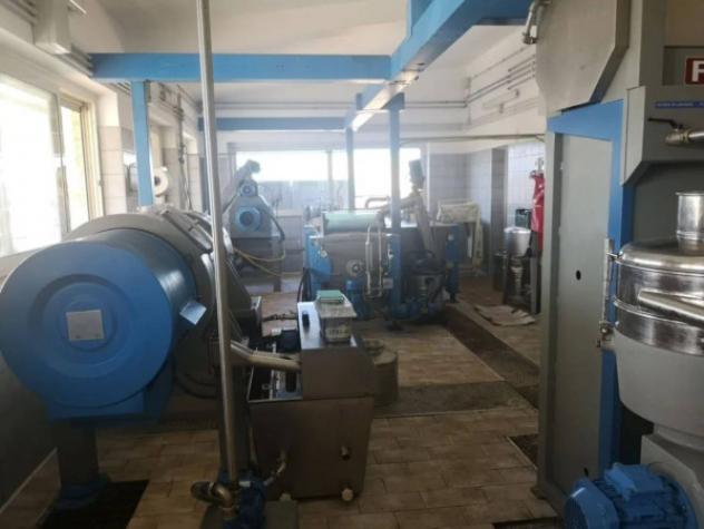 Immobile in asta di 664 m² in vendita a Casperia - Foto 5