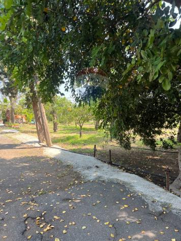 Villa singola in vendita a Augusta - Foto 7