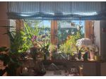 Porano- Vendesi appartamento con terrazza e ampio garage.