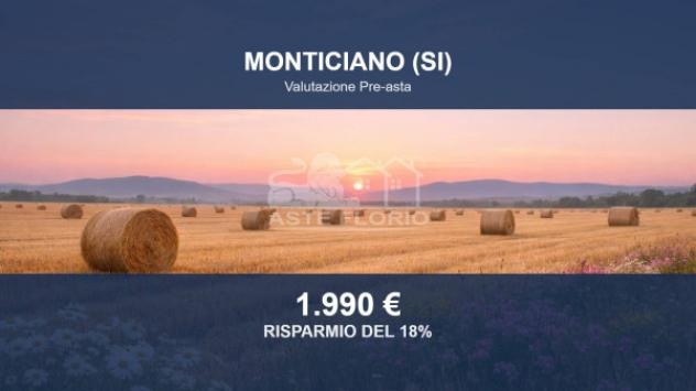 Immobile in asta di 6090 m² in vendita a Monticiano