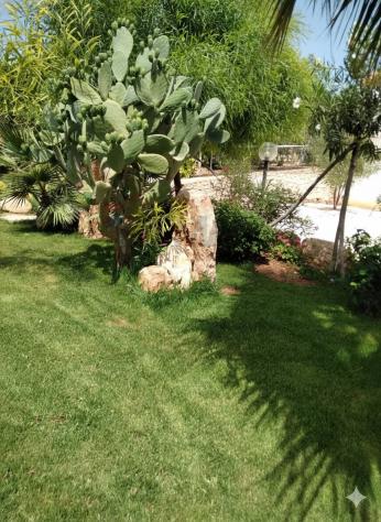 Villa singola in vendita a Scicli, Sampieri - Foto 11