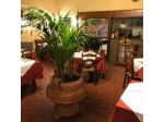 Hotel Apogeo ***